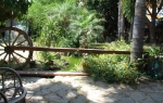 Percorso Ollatherapy di Integrazione Milazzo 1 luglio 2012